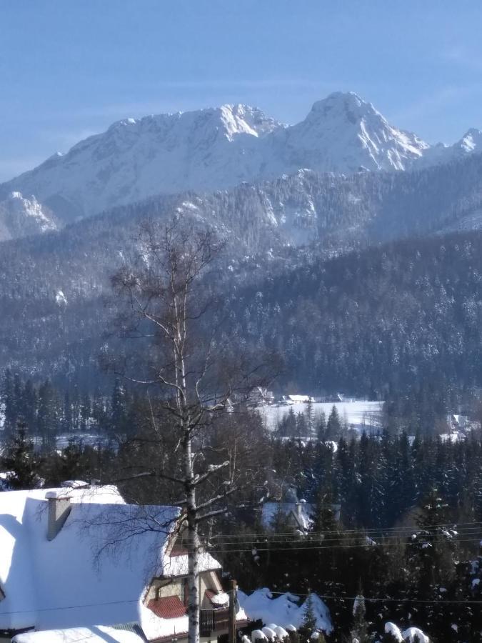 Apartament Sloneczny Zakopane Apartment Kościelisko